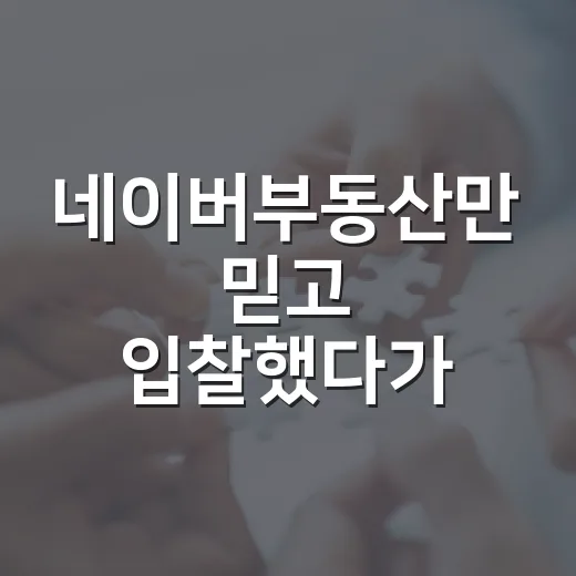 네이버부동산만 믿고 입찰했다가 현장에서 다시 계산한 이야기 - 요약
