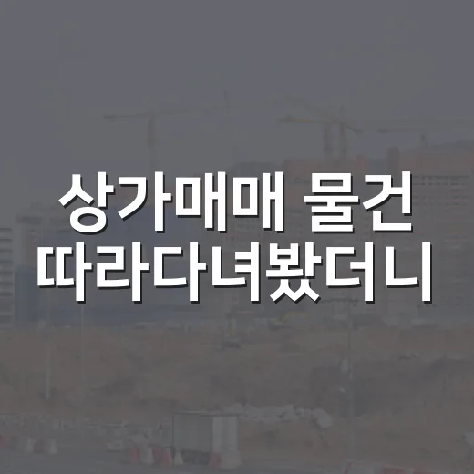 상가매매 물건 따라다녀봤더니, 싼 가격보다 무서운 게 따로 있었습니다 - 요약