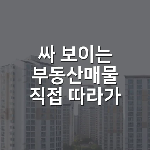 싸 보이는 부동산매물 직접 따라가 봤더니 현장에서 바로 걸러진 이유 - 요약