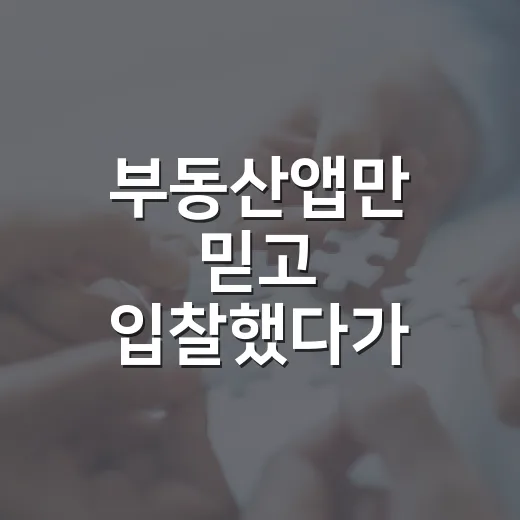 부동산앱만 믿고 입찰했다가 현장에서 다시 계산한 이야기 - 요약