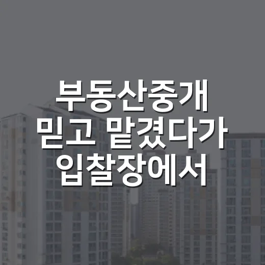 부동산중개 믿고 맡겼다가 입찰장에서 식은땀 흘린 이야기 - 요약