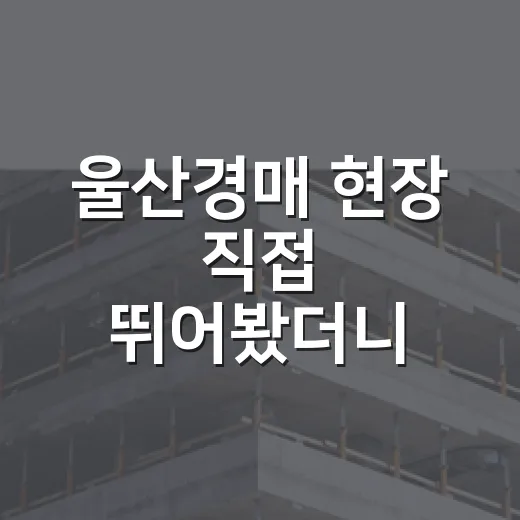울산경매 현장 직접 뛰어봤더니, 초보가 숫자만 보고 들어가면 위험한 이유 - 요약