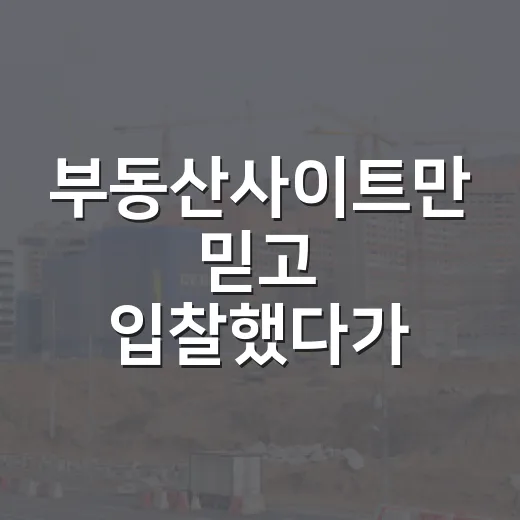 부동산사이트만 믿고 입찰했다가 현장에서 식은땀 난 이야기 - 요약