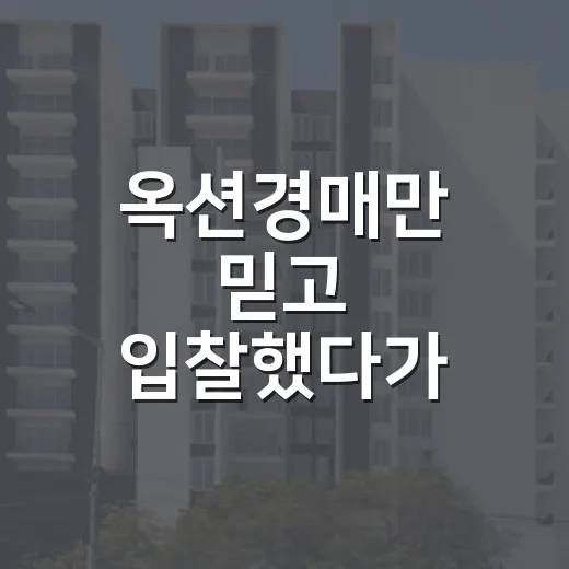 옥션경매만 믿고 입찰했다가 보증금 날릴 뻔한 이야기 - 요약