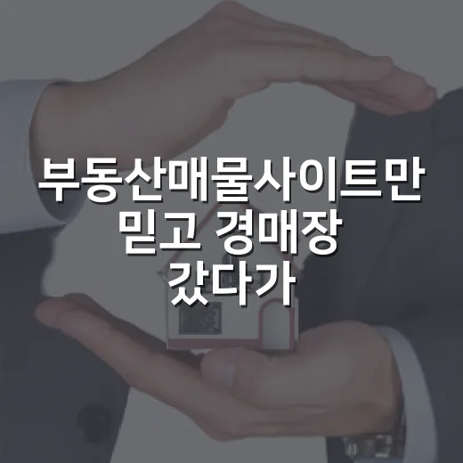 부동산매물사이트만 믿고 경매장 갔다가 발품값 제대로 낸 이야기 - 요약