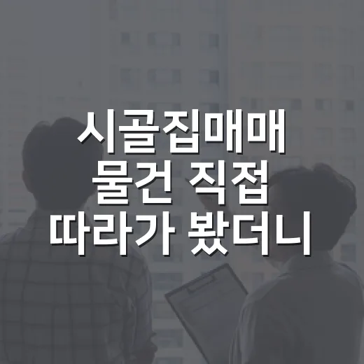 시골집매매 물건 직접 따라가 봤더니, 싼 집보다 무서운 게 따로 있었습니다 - 요약