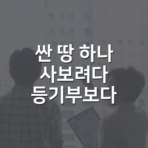 싼 땅 하나 사보려다 등기부보다 지적도를 더 오래 본 이야기 - 요약