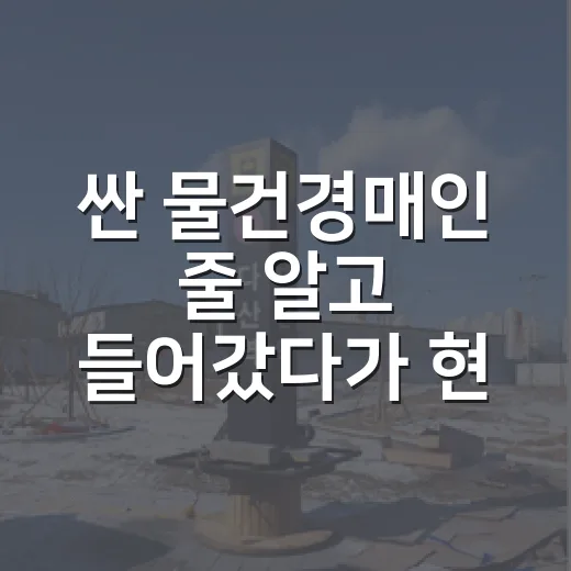싼 물건경매인 줄 알고 들어갔다가 현장에서 등기부 다시 본 이야기 - 요약