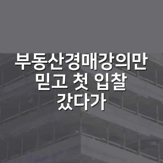부동산경매강의만 믿고 첫 입찰 갔다가 식은땀 흘린 이야기 - 요약