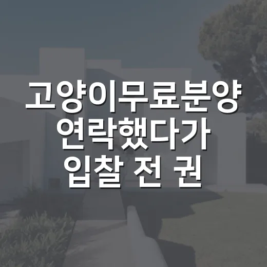 고양이무료분양 연락했다가 입찰 전 권리분석하듯 따져본 이야기 - 요약