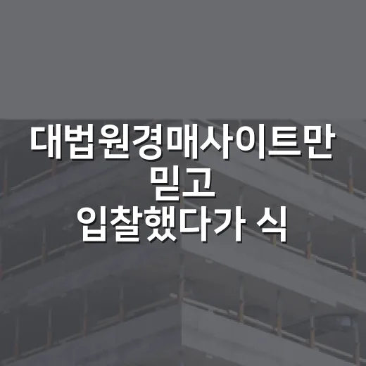 대법원경매사이트만 믿고 입찰했다가 식은땀 났던 날 - 요약