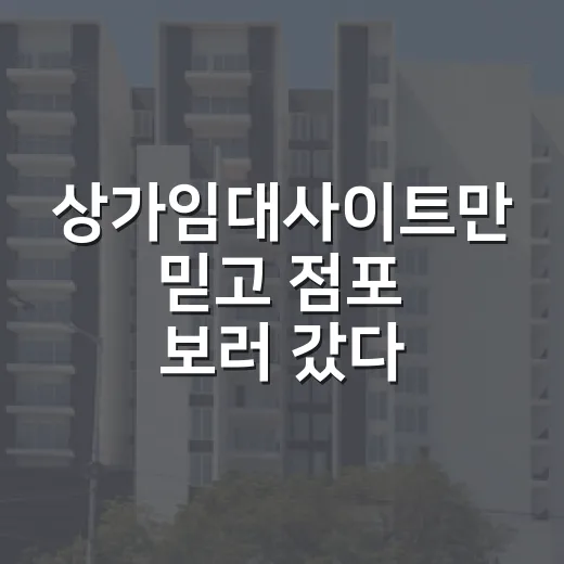 상가임대사이트만 믿고 점포 보러 갔다가 권리금 함정까지 본 후기 - 요약