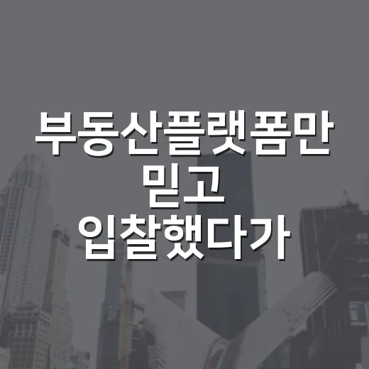 부동산플랫폼만 믿고 입찰했다가 현장에서 식은땀 난 이야기 - 요약