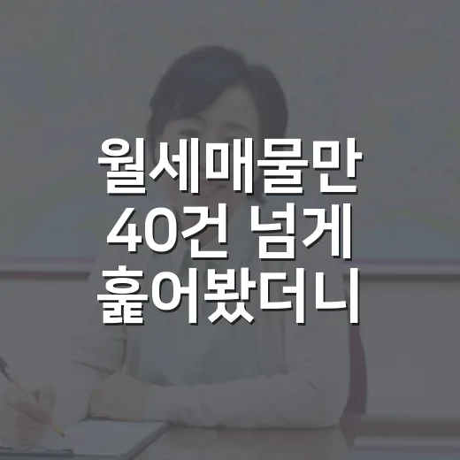 월세매물만 40건 넘게 훑어봤더니, 초보가 놓치는 숫자가 보였습니다 - 요약