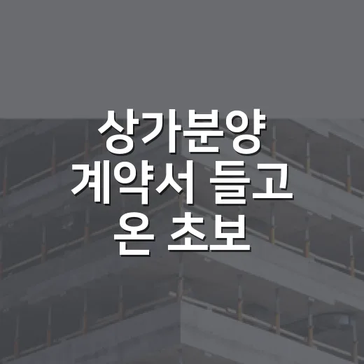상가분양 계약서 들고 온 초보 투자자와 현장에 같이 가봤더니 - 요약