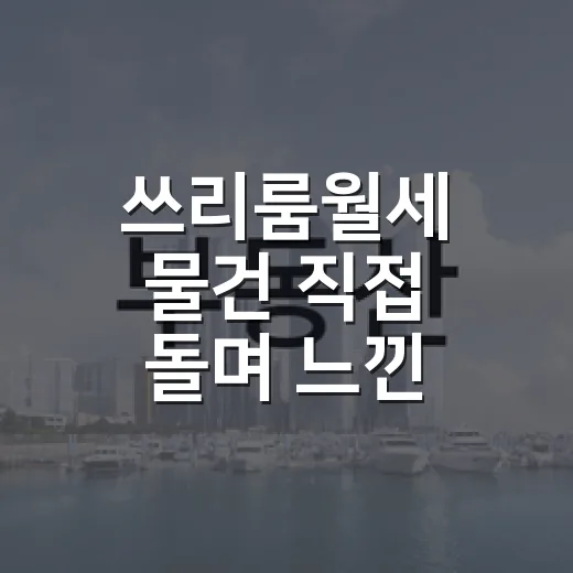 쓰리룸월세 물건 직접 돌며 느낀 진짜 함정들 - 요약