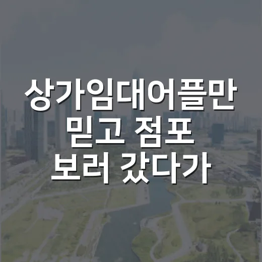상가임대어플만 믿고 점포 보러 갔다가 현장에서 다시 계산해본 이야기 - 요약
