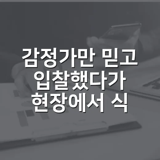 감정가만 믿고 입찰했다가 현장에서 식은땀 난 이야기 - 요약