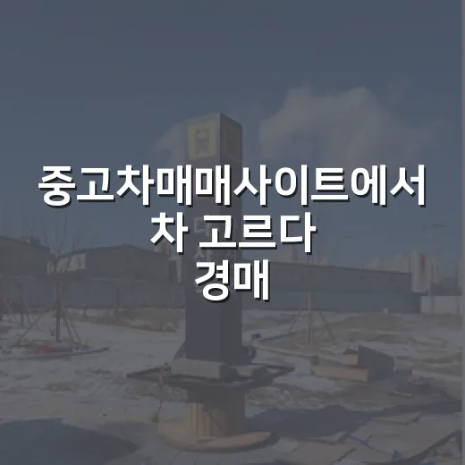 중고차매매사이트에서 차 고르다 경매 권리분석 습관이 튀어나온 이야기 - 요약