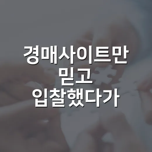 경매사이트만 믿고 입찰했다가 보증금 날릴 뻔한 이야기 - 요약