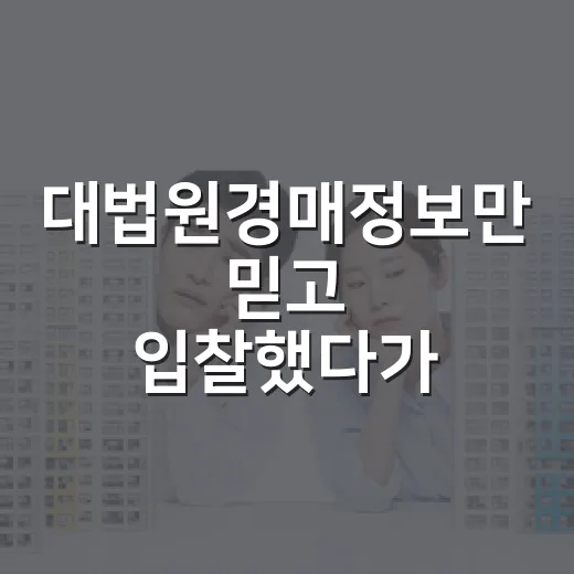 대법원경매정보만 믿고 입찰했다가 현장에서 배운 진짜 이야기 - 요약