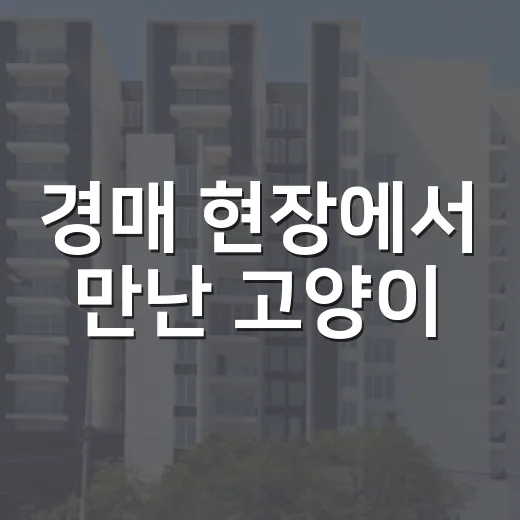 경매 현장에서 만난 고양이, 분양까지 직접 겪어보니 돈보다 먼저 볼 게 있었습니다 - 요약
