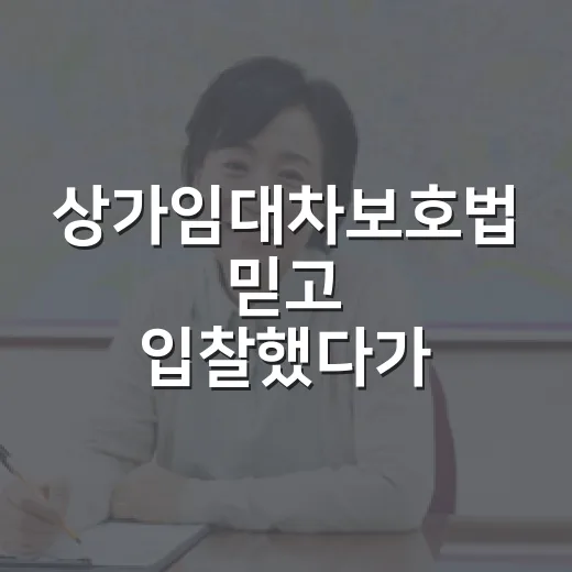 상가임대차보호법 믿고 입찰했다가 보증금 계산에서 식은땀 난 이야기 - 요약