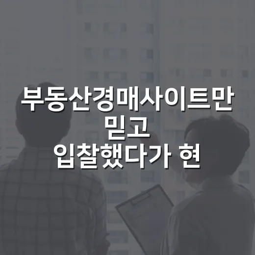 부동산경매사이트만 믿고 입찰했다가 현장에서 배운 진짜 이야기 - 요약