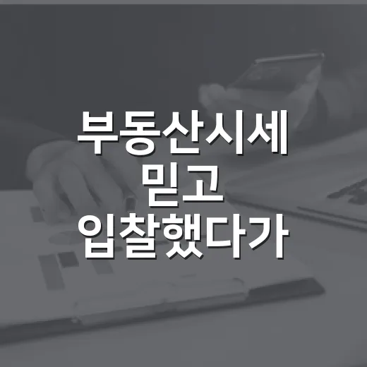 부동산시세 믿고 입찰했다가 잔금 날까지 식은땀 났던 이야기 - 요약