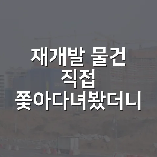 재개발 물건 직접 쫓아다녀봤더니, 초보가 놓치기 쉬운 돈의 흐름 - 요약