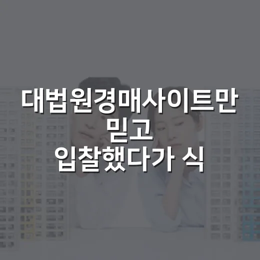 대법원경매사이트만 믿고 입찰했다가 식은땀 흘린 날 - 요약