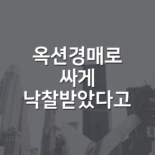 옥션경매로 싸게 낙찰받았다고 웃었다가 잔금 앞에서 식은땀 난 이야기 - 요약