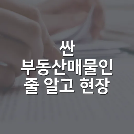 싼 부동산매물인 줄 알고 현장 갔다가 입찰표 접은 이야기 - 요약