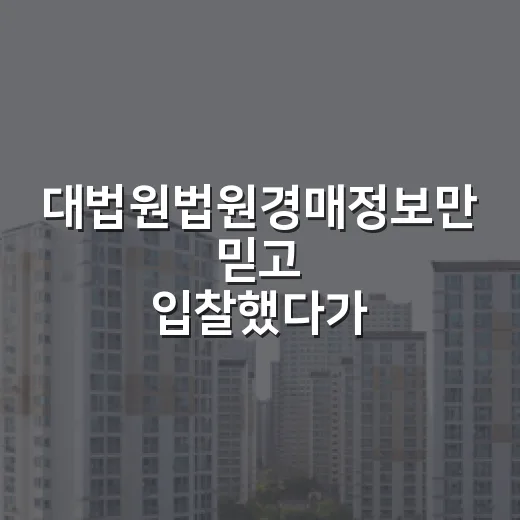 대법원법원경매정보만 믿고 입찰했다가 현장에서 다시 확인한 이야기 - 요약