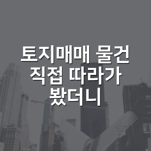 토지매매 물건 직접 따라가 봤더니, 싸 보이는 땅일수록 먼저 봐야 할 것들 - 요약