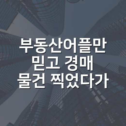 부동산어플만 믿고 경매 물건 찍었다가 현장에서 다시 계산한 이야기 - 요약