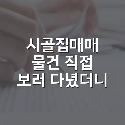 시골집매매 물건 직접 보러 다녔더니 싼 집보다 무서운 게 따로 있었습니다 - 요약