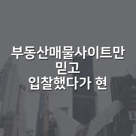 부동산매물사이트만 믿고 입찰했다가 현장에서 다시 본 이야기 - 요약