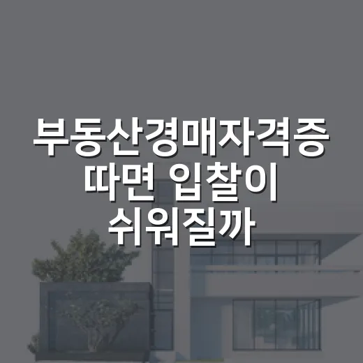 부동산경매자격증 따면 입찰이 쉬워질까, 직접 현장에서 겪어본 진짜 이야기 - 요약