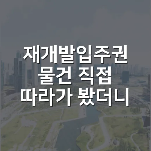 재개발입주권 물건 직접 따라가 봤더니, 돈 되는 줄만 알던 권리가 제일 무서웠습니다 - 요약