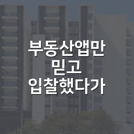 부동산앱만 믿고 입찰했다가 보증금 날릴 뻔한 이야기 - 요약
