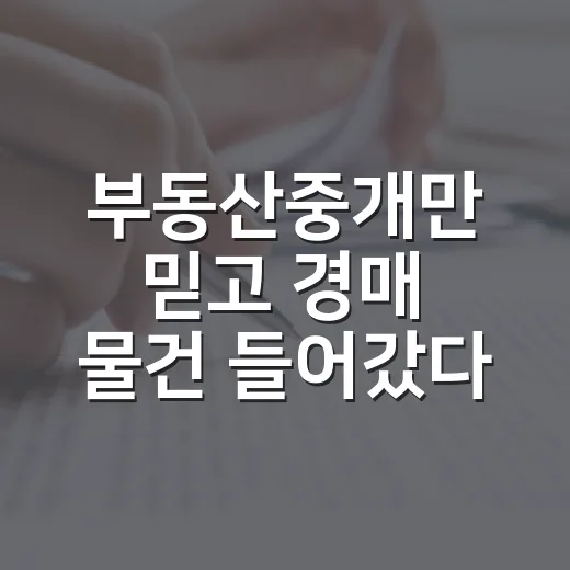 부동산중개만 믿고 경매 물건 들어갔다가 배운 진짜 이야기 - 요약
