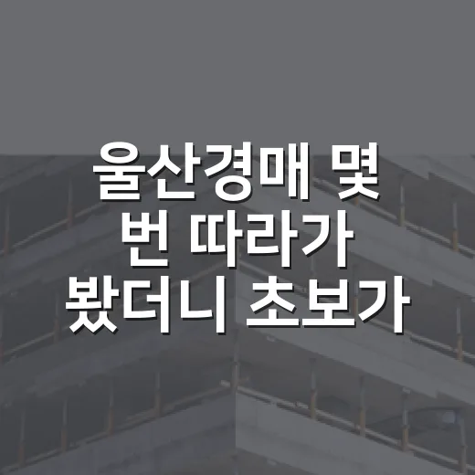울산경매 몇 번 따라가 봤더니 초보가 먼저 피해야 할 물건이 보였습니다 - 요약