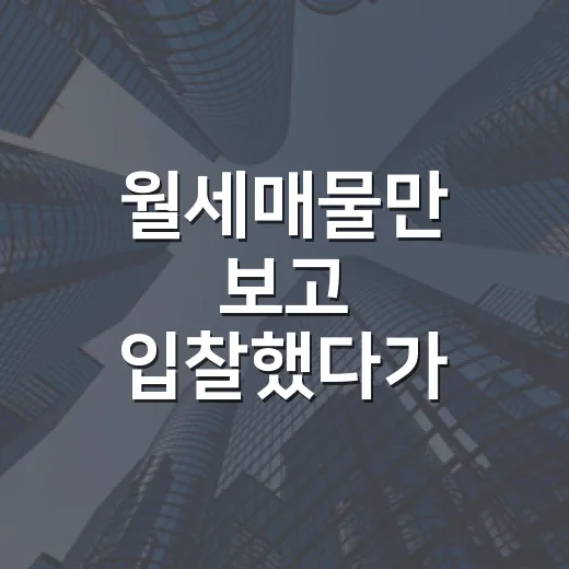 월세매물만 보고 입찰했다가 계산기 다시 두드린 이야기 - 요약