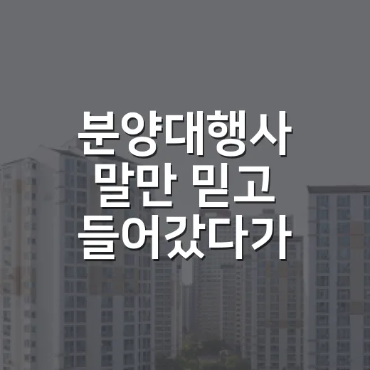 분양대행사 말만 믿고 들어갔다가 경매장까지 온 물건들, 직접 봤습니다 - 요약