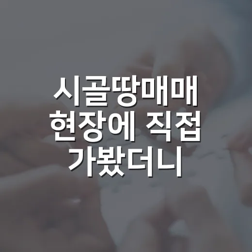 시골땅매매 현장에 직접 가봤더니, 싸게 보이던 땅이 비싼 이유 - 요약