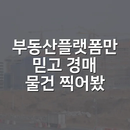 부동산플랫폼만 믿고 경매 물건 찍어봤더니 입찰장에서 식은땀 난 이야기 - 요약