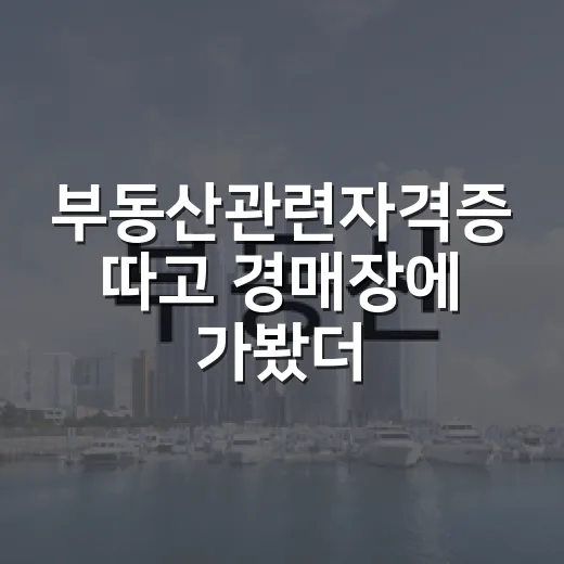부동산관련자격증 따고 경매장에 가봤더니 달라진 것들 - 요약