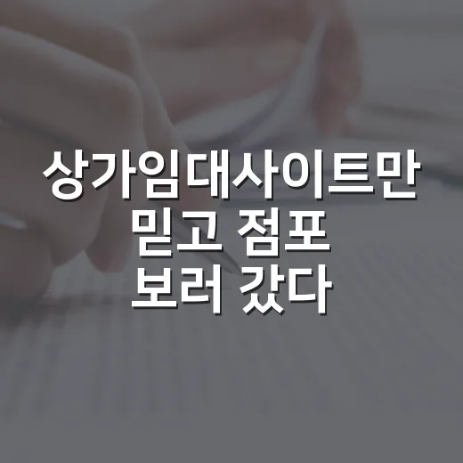 상가임대사이트만 믿고 점포 보러 갔다가 현장에서 배운 것들 - 요약