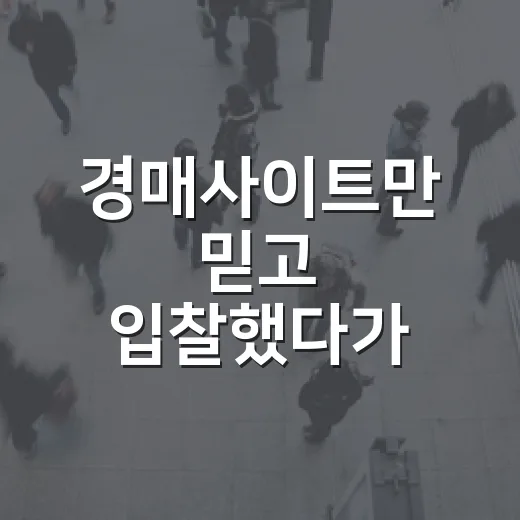 경매사이트만 믿고 입찰했다가 현장에서 식은땀 난 이야기 - 요약